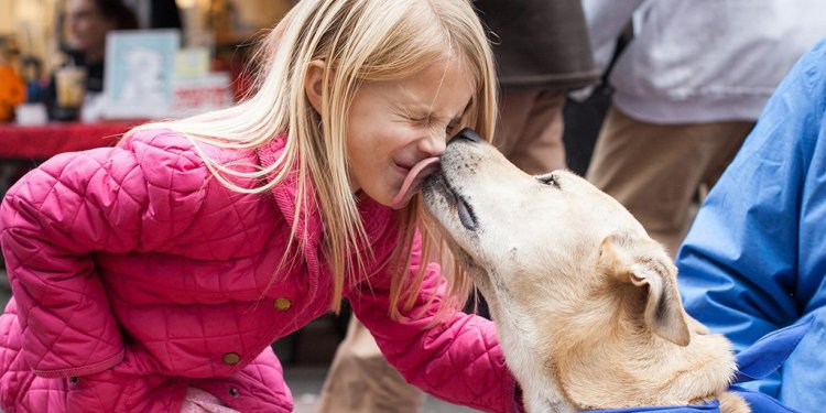 8 Places to Adopt a Dog In