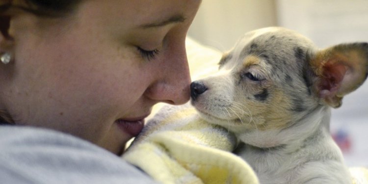 Michigan Humane Society