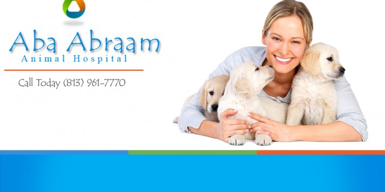 Abraam Animal Hospital Logo