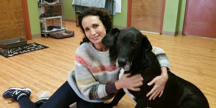 Actress Spends Holiday At SPCA