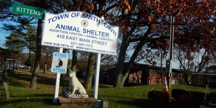 Oyster Bay Animal Shelter