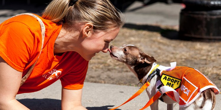 ASPCA | Official Site for the