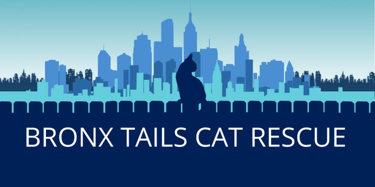 Bronx Tails Cat Rescue