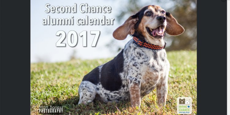 Second Chance Alumni Calendar