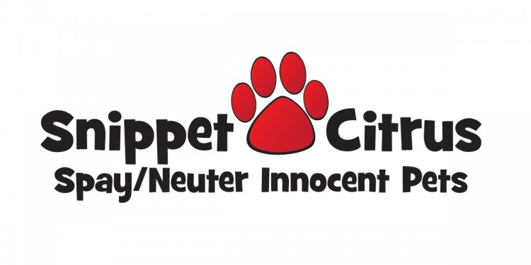 Cat and Dog Spay / Neuter