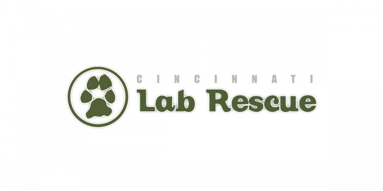 Cincinnati Lab Rescue