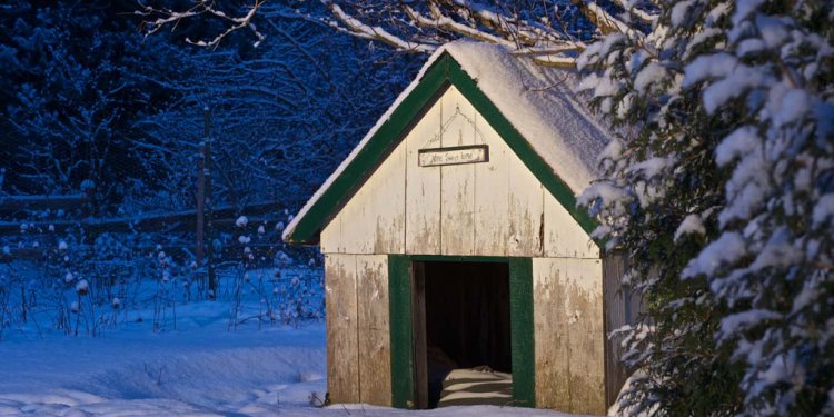 DIY Cold Weather Dog House