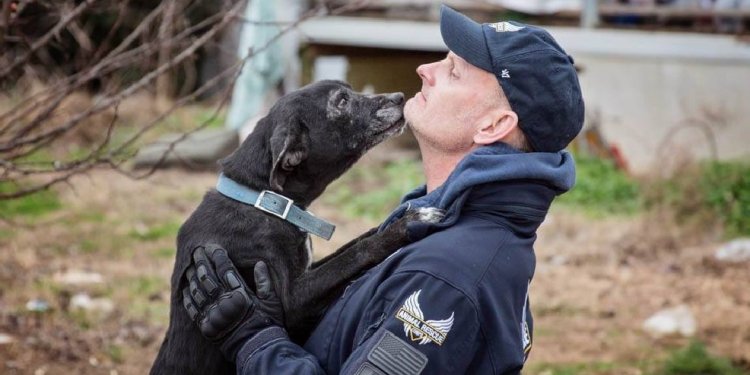 Dogs Rescued in ARC s