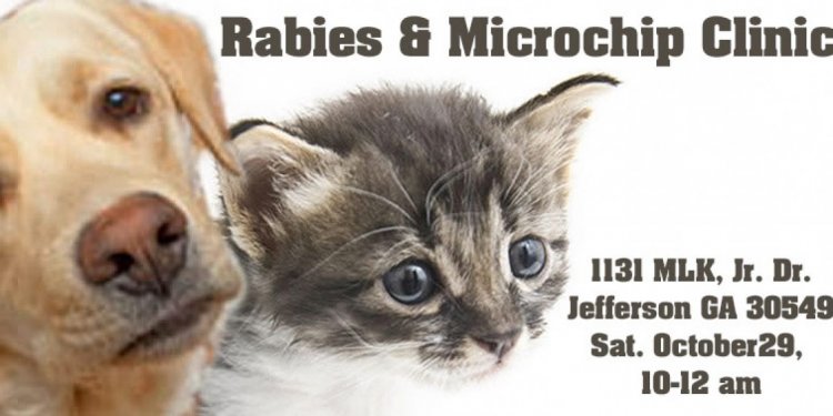 Rabies & Microchip Clinic