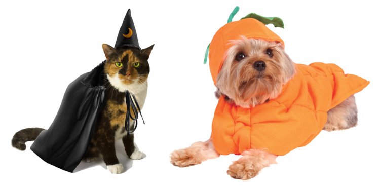 Halloween-pets