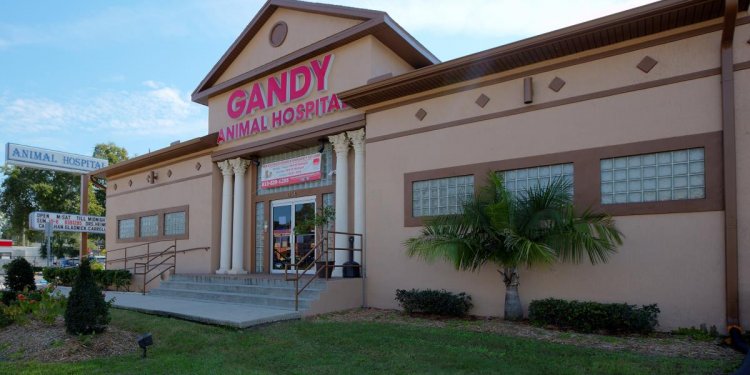 Gandy Animal Hospital