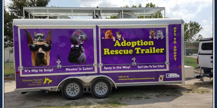 Adoption trailer