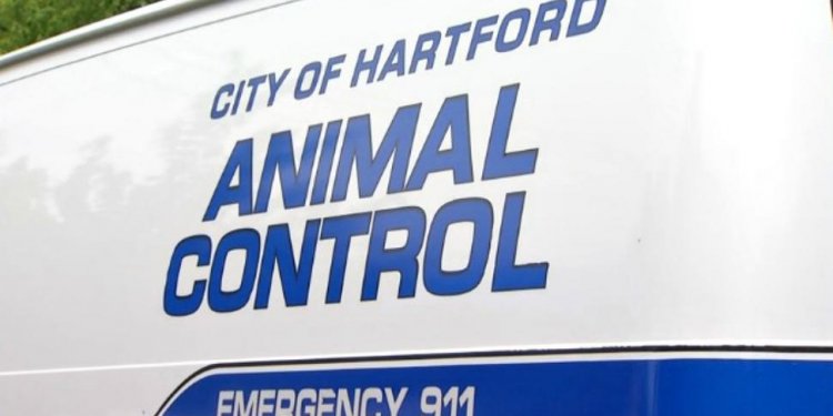 Hartford Animal Shelter