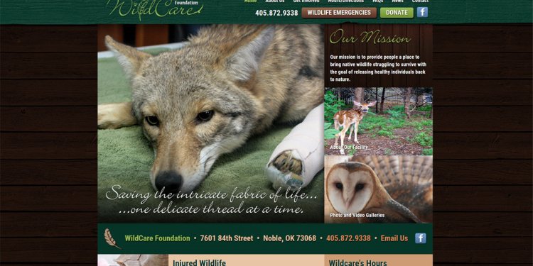 Home | Wildcare Foundation