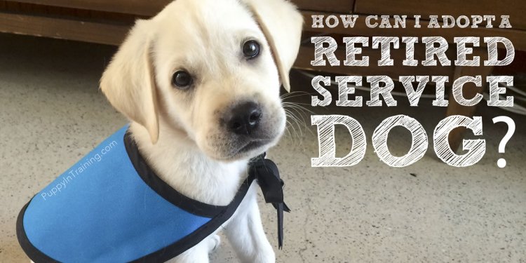 How to adopt a retired service