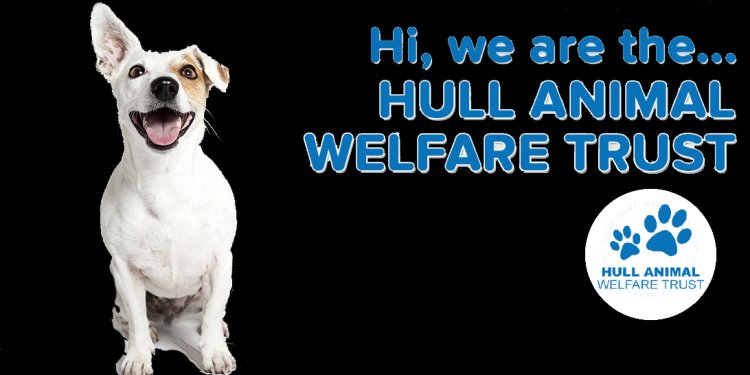 RT @RSPCAHull: The weathers