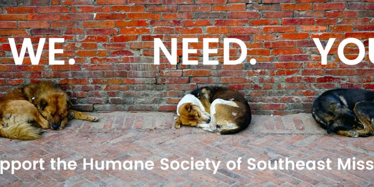 Humane Society of Southeast