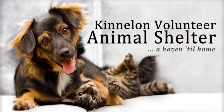 Volunteer Animal Shelter