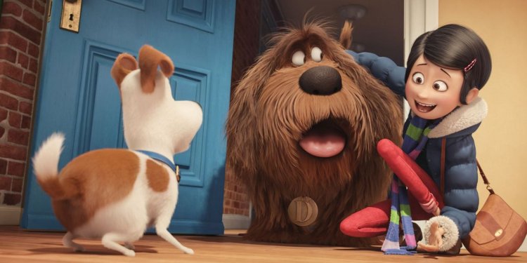 Secret life of pets