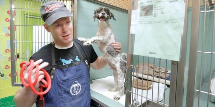 Man Gives Shelter Dogs Free