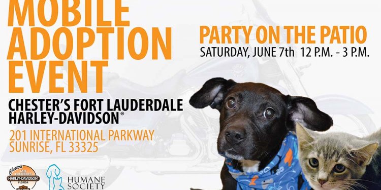 Mobile Adoption Event