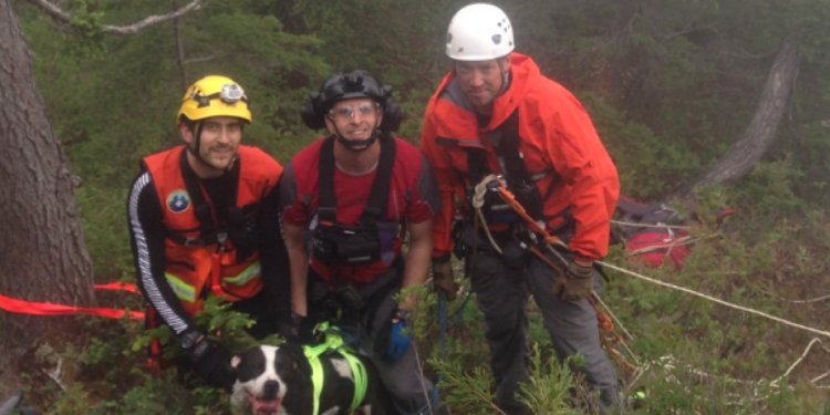 North Shore Rescue save a dog