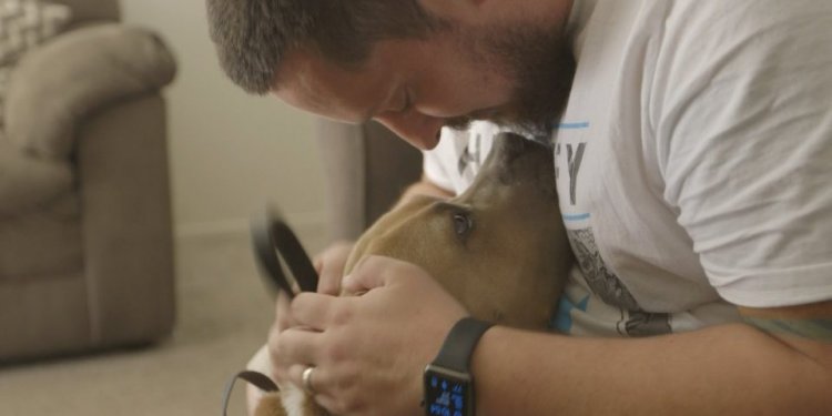 County Animal Services and its