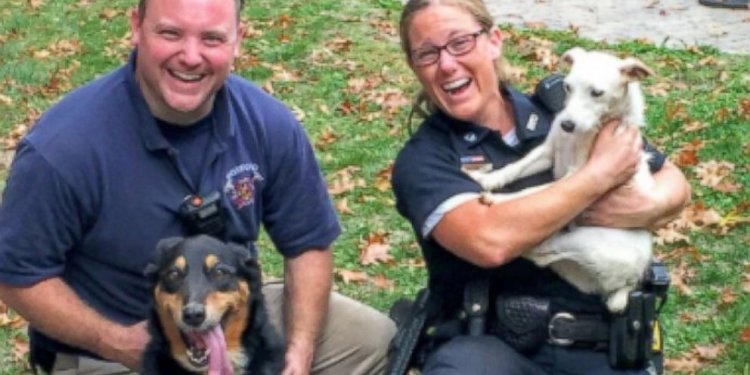 Police Rescue 2 Dogs Trapped