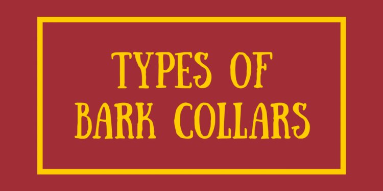 Types of Bark Collars