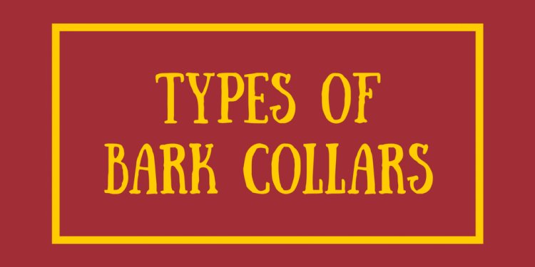 Types of Bark Collars