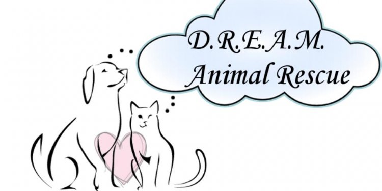 D.R.E.A.M. Animal Rescue DREAM