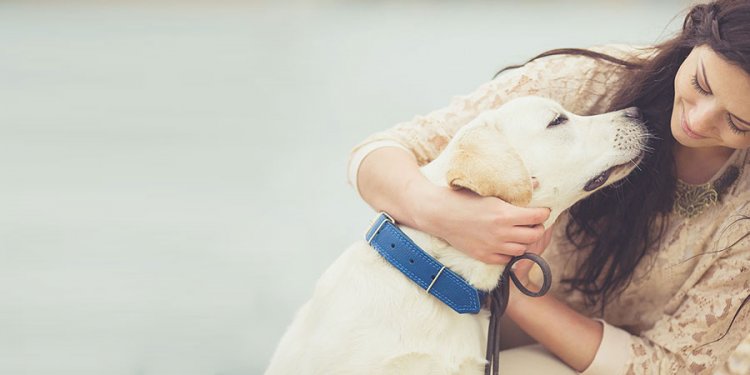 San Jacinto CA veterinarian