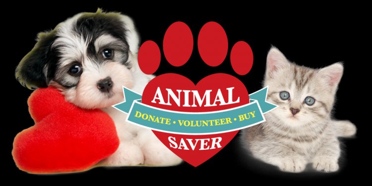 Save the Animals Store