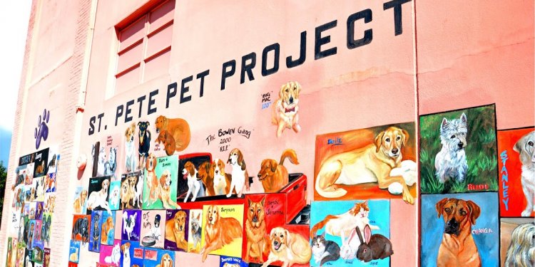 St. Pete Pet Project | St