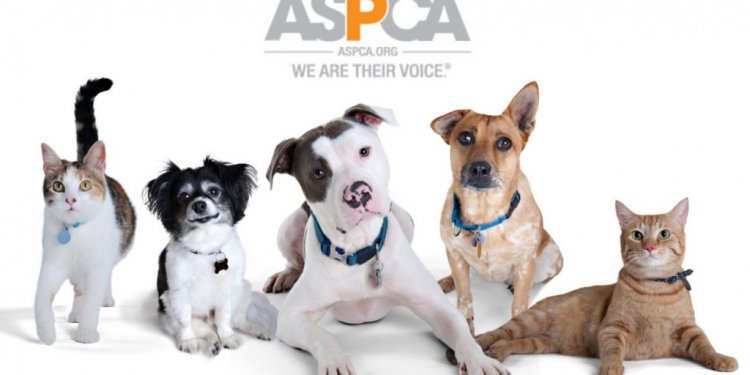 ASPCA s Love A Pet Adoption