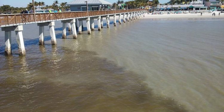 Fort Myers pollution, Feb 27