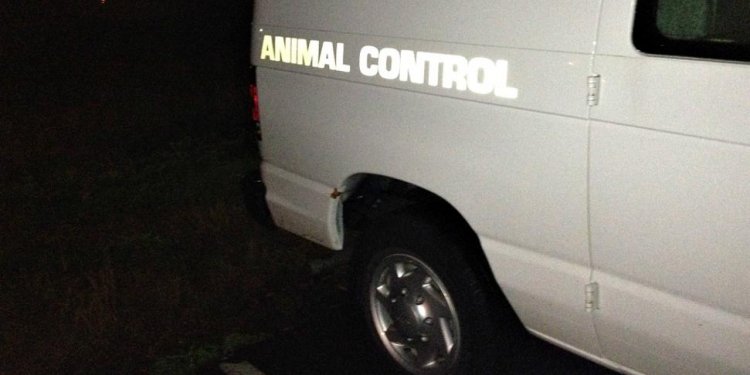 Stratford Animal Control