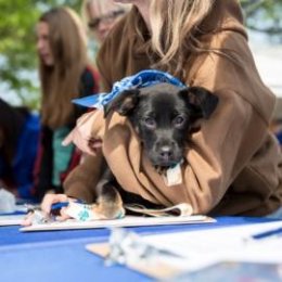 Adopt a pet through PetSmart Charities