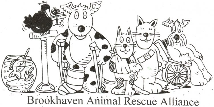 Brookhaven Animal Shelter Long Island NY