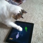 Cats like to have iPad breaks too!