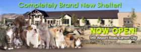 cc-shelter-open-house-nhs-website-banner-9-19-16-final-lg