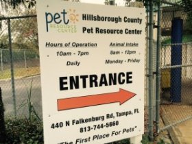 Hillsborough County pet resources