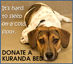 It's hard to sleep on a cold floor. Donate a Kuranda bed.