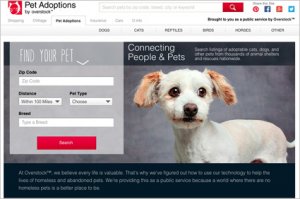 Overstock.com pet adoption site