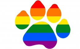 paw_print_rainbow.jpg