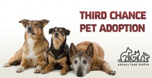 Pet Adoption in Orange County, CA Pet Adoption in Orange County, CA