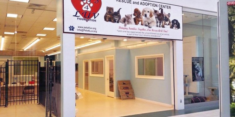 Pet Rescue and Adoption Center