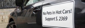 Pets in hot automobiles demo in the state-house