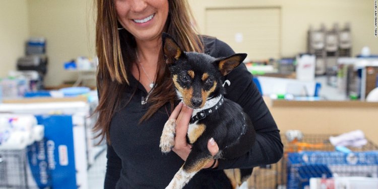 Small dogs Rescue Oklahoma