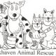 Brookhaven Animal Shelter Long Island NY